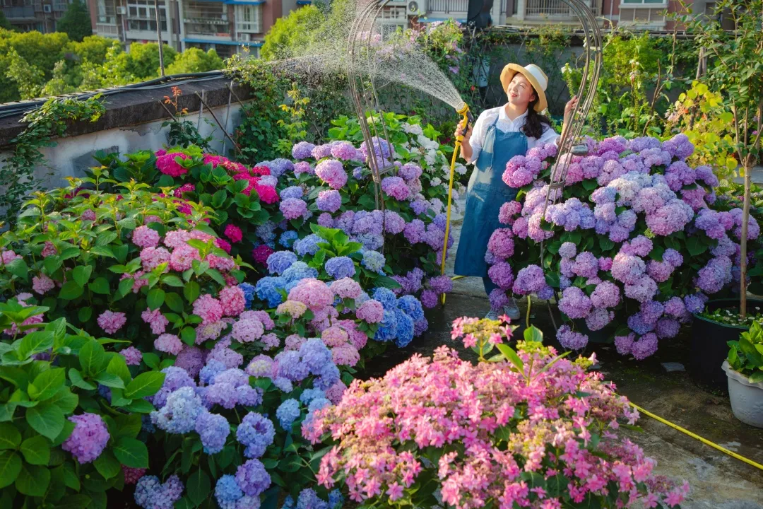 海妈花园访问｜想种花没地方？重庆小学老师在学校楼顶造了座花园