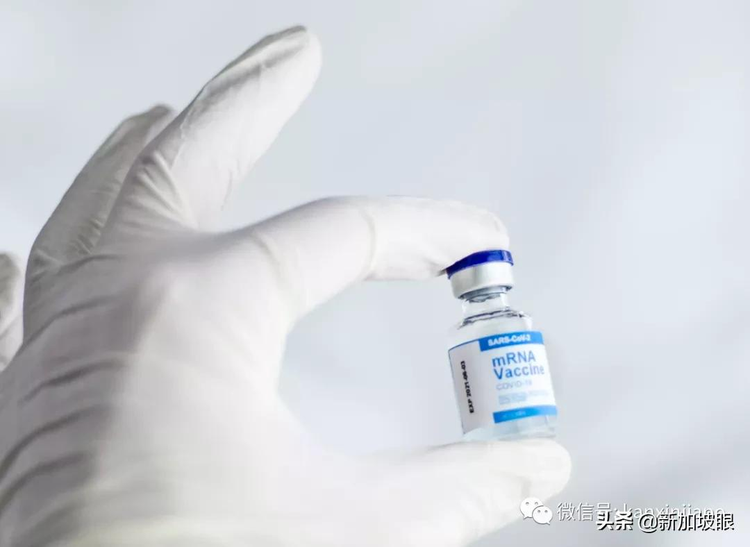 “打了第三針輝瑞疫苗,可能出現這些副作用”新加坡教師親歷分享
