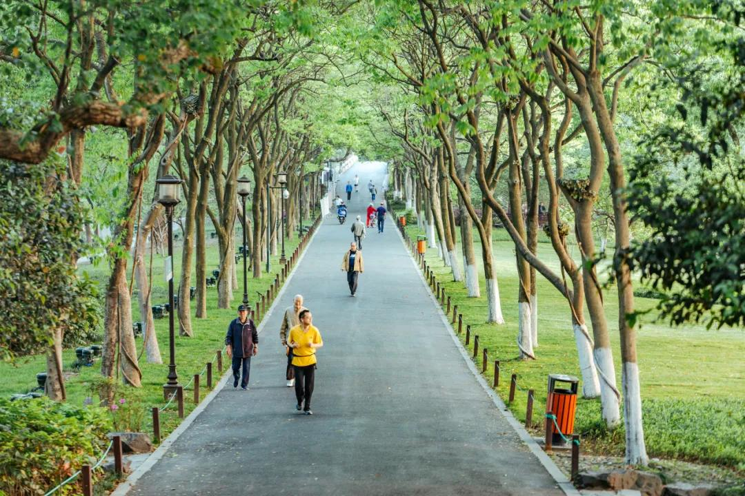 3月最值得去的绝美旅行地,是时候安排一下自己的旅行清单啦