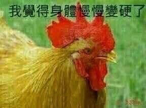 今天不学习，明天变垃圾