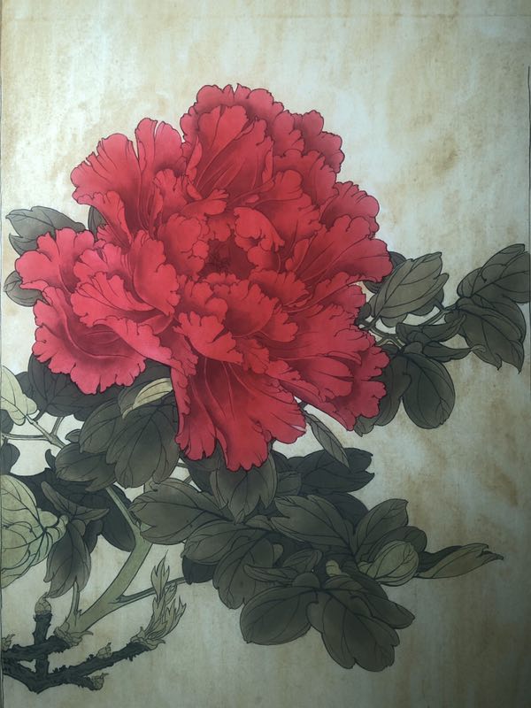 工笔画入门:教你6步画牡丹工笔画,简单易学,学会几分钟一幅画