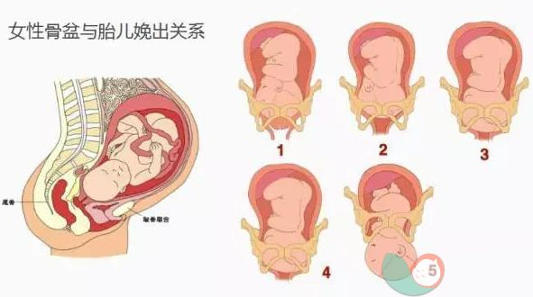 年轻女子走在街头，孩子却突然从胯下生出！接下来的这幕惊心动魄