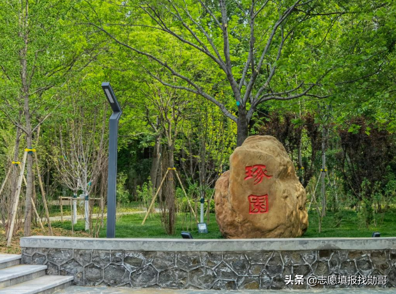 河北燕山大学（这所老牌机械院校）