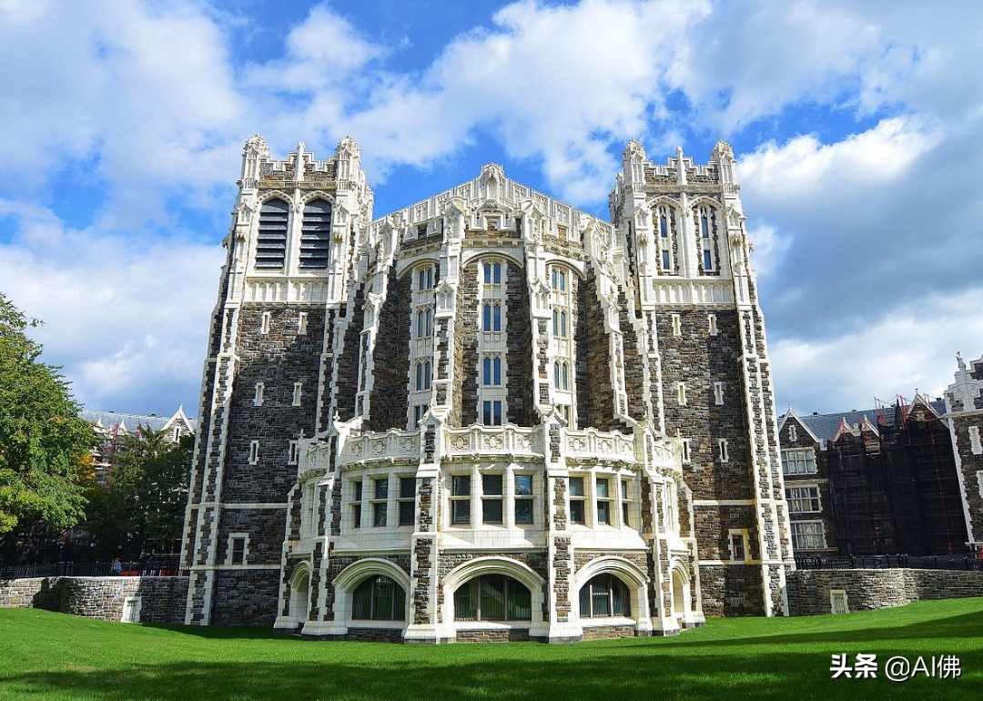 美国最自由的公立大学