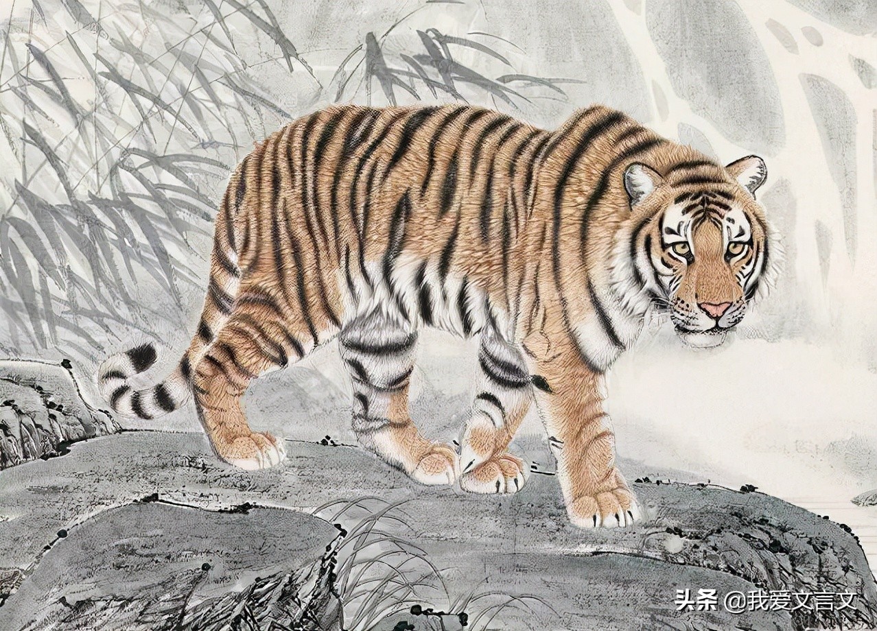 经典文言文赏析 | 说虎