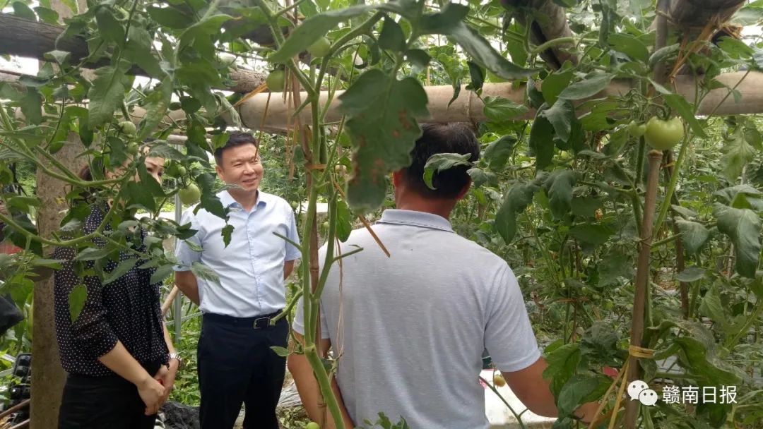 赣州荣耀！刚刚，他们在人民大会堂接受表彰！