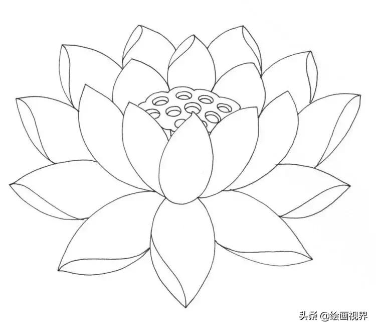 莲花的基础结构画法:从结构到造型教你画,简单易学,一看就会