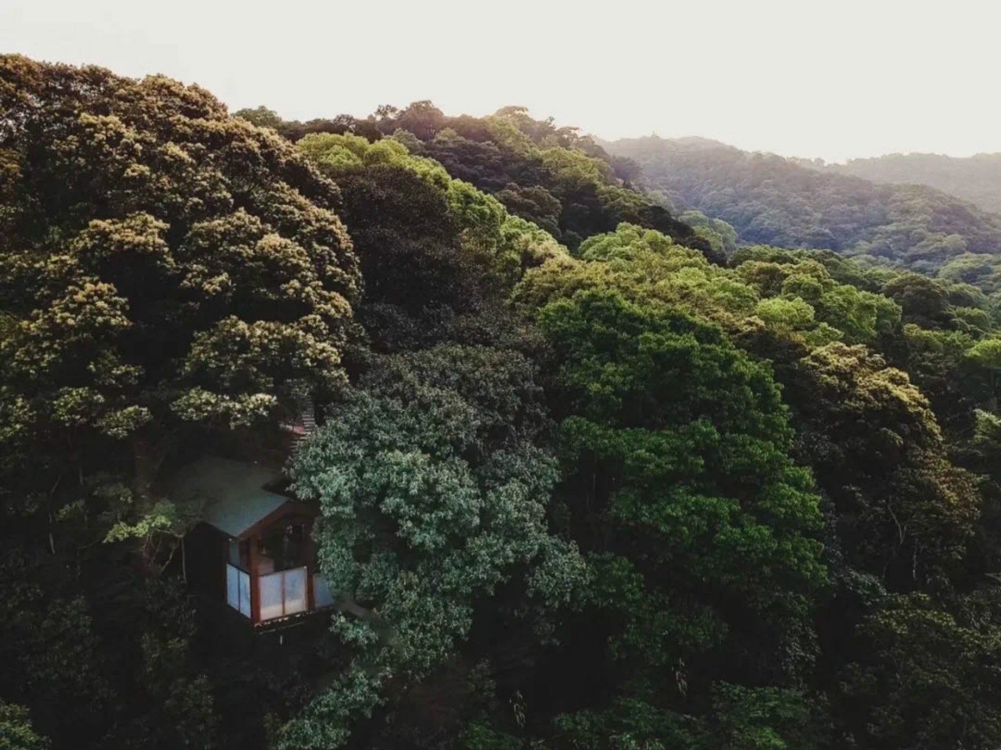 住进森林木屋，仿佛来到了童话世界