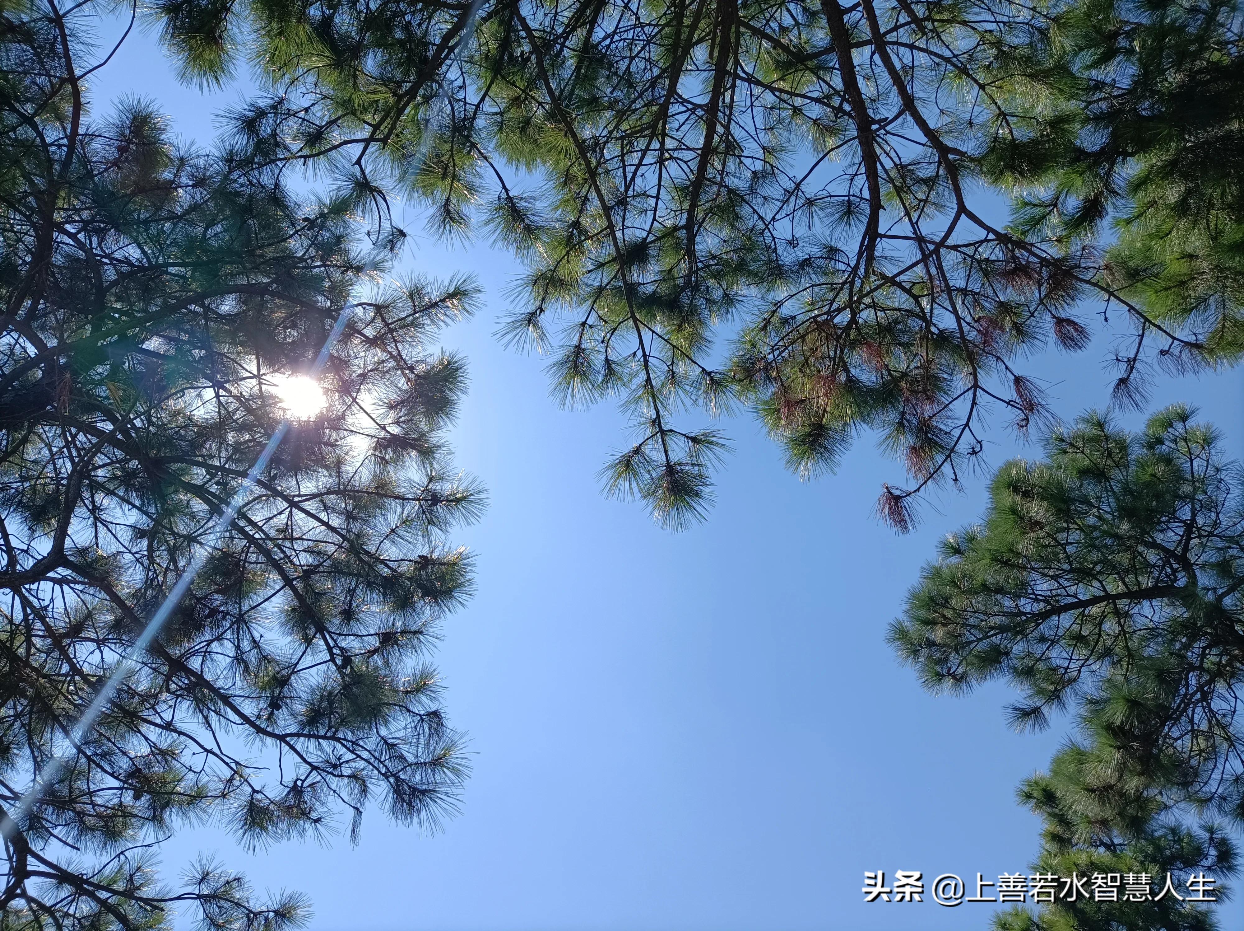 《千字文》感悟：谦卑是基石，切莫得意忘形害自己，吾日三省吾身
