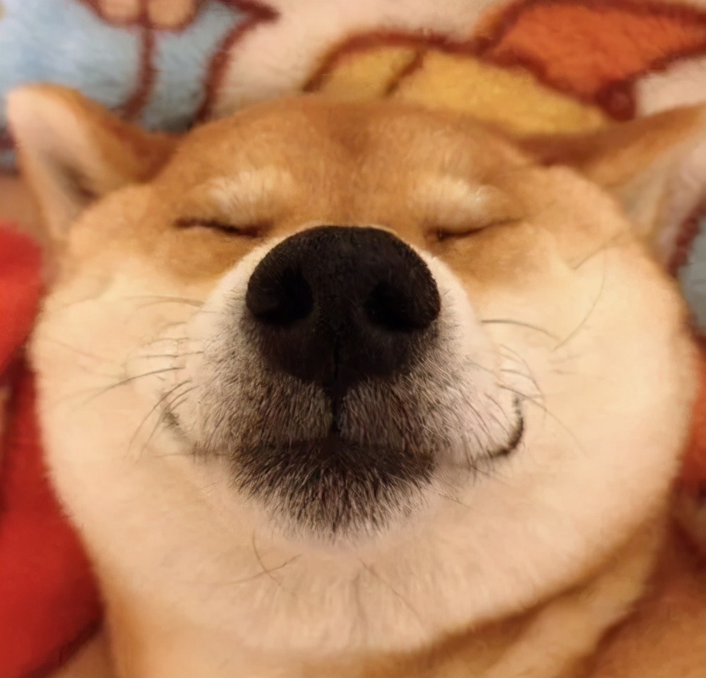 准大一来看！高考后的三个月暑假我要做的那些事(一)