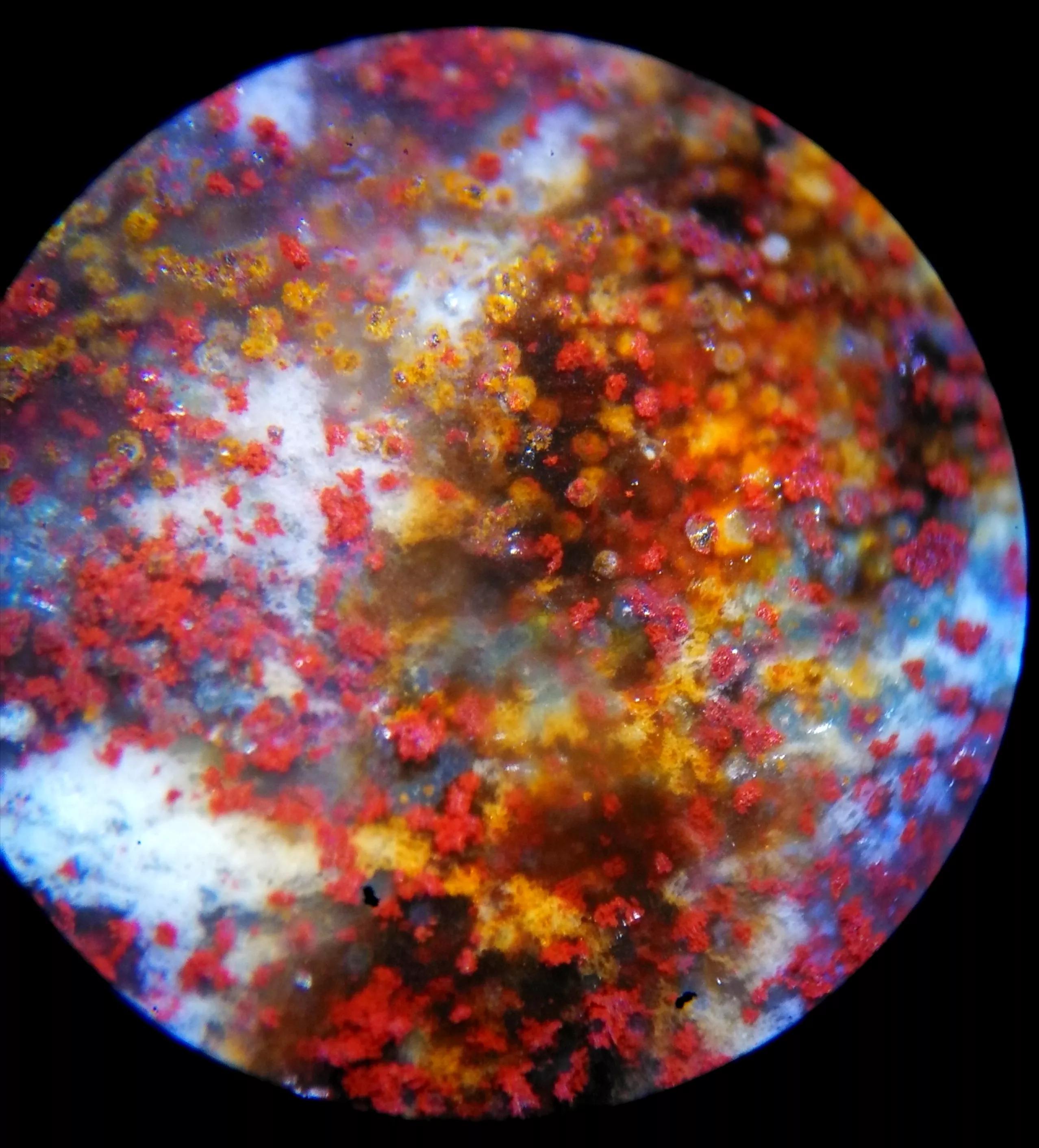 古象雄天降石天珠的真品之美.(天珠图片大全) 第3张