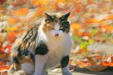 太低调！这所实力985，是我国重点建设的唯一一所综合性海洋大学