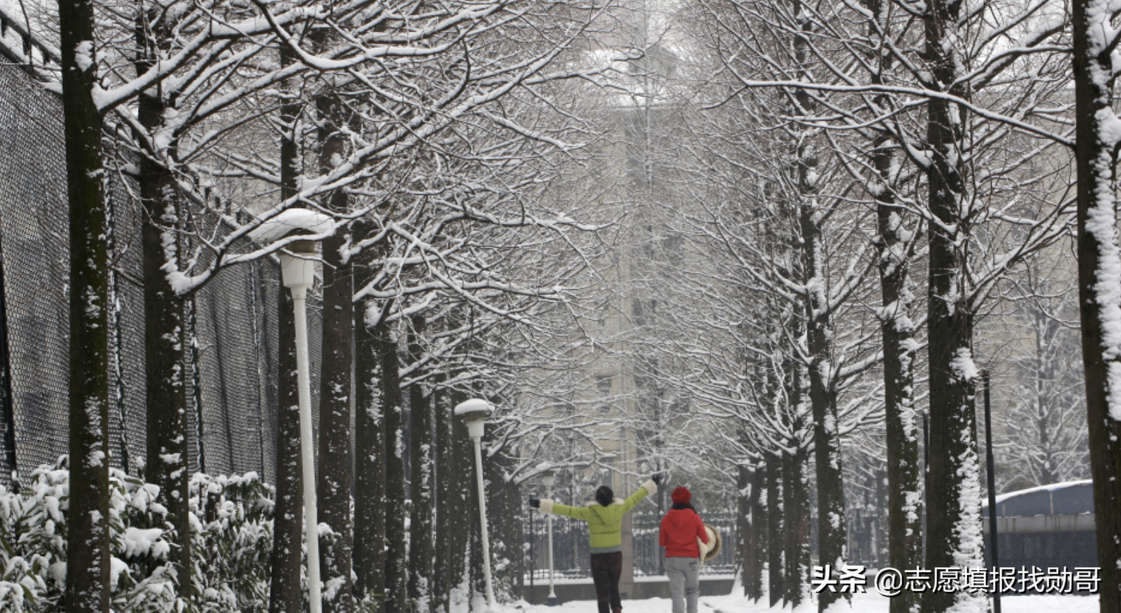 计算机专业最强的11所普通本科，干过211，最有可能晋升双一流