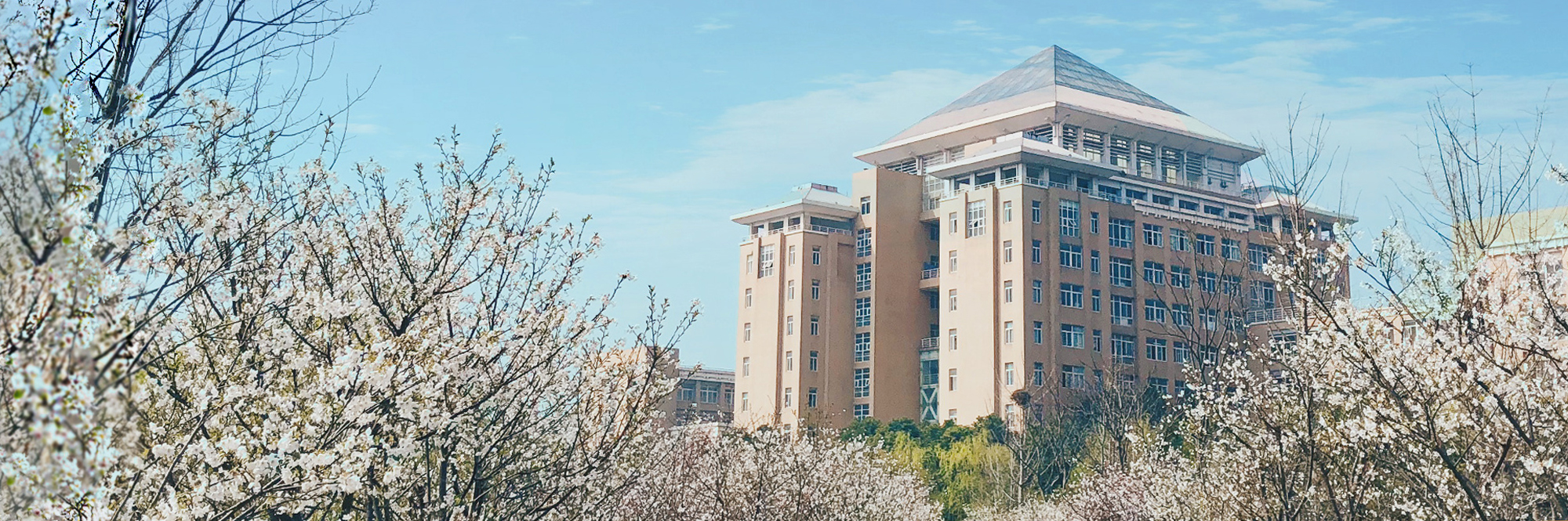 武汉80年代也曾有“八大工学院”，如今分别是哪些学校？