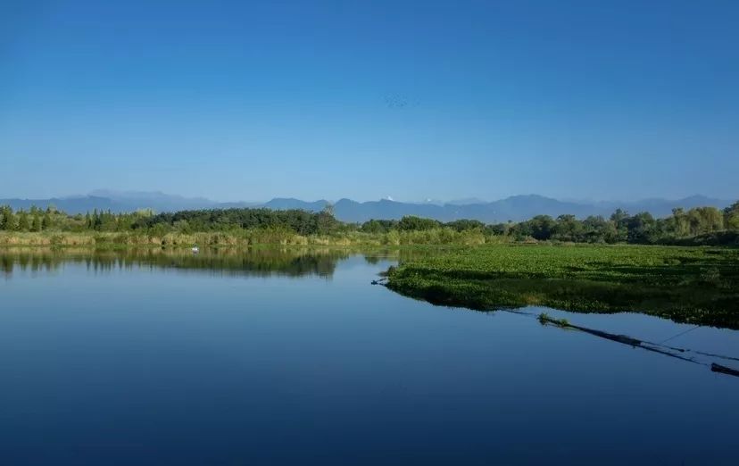 「鲁家滩」水清岸绿，风景如画