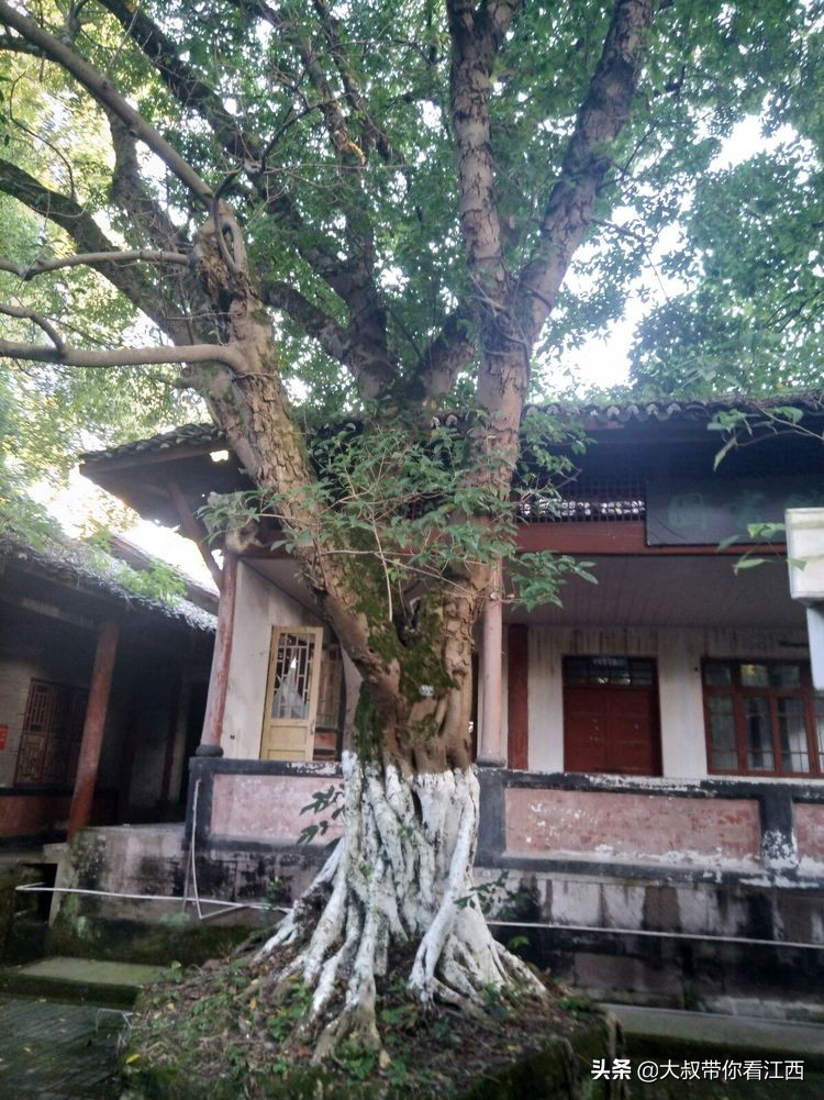 为逝去的记忆——重庆市合川师范学校掠影