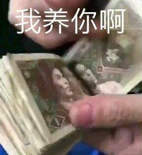 表情包：我养你啊