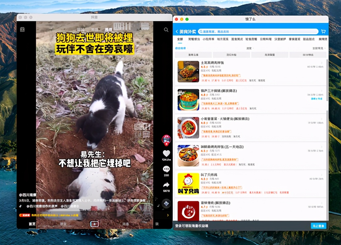 Mac选购指南，学生党入手哪款最合适？