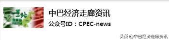 巴基斯坦商务签证,巴基斯坦商务签证最长是多少天