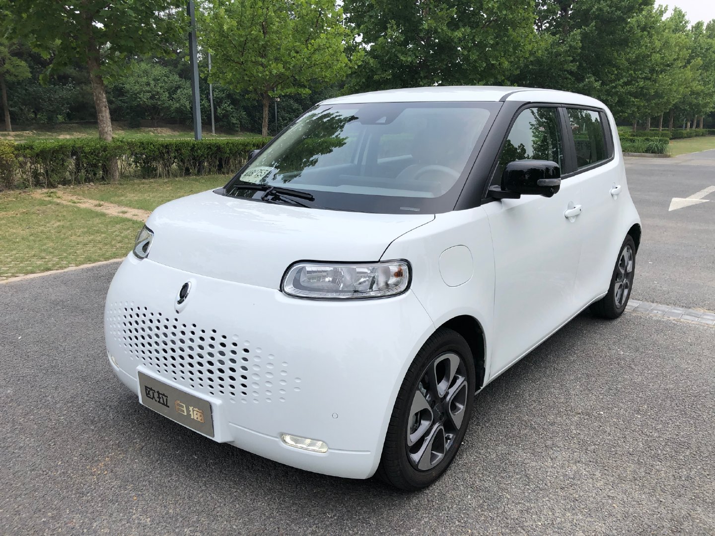 长城电动汽车价格长城版mini来袭