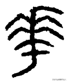 越原始，越深刻 – 重新理解汉字本义 │ 物“华”天宝