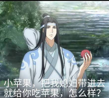 魔道祖师表情包：确认过眼神，这是我媳妇