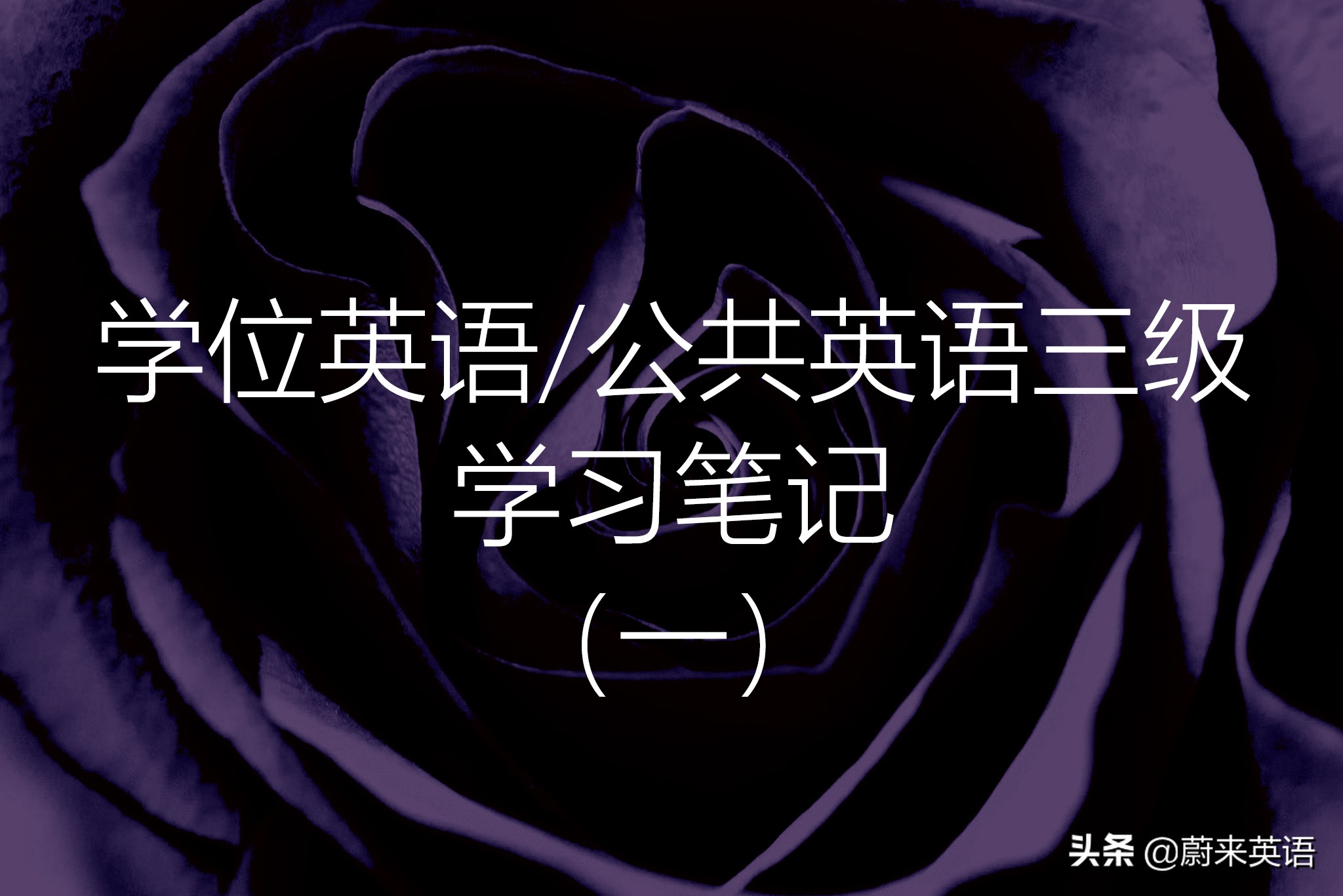 学位英语/公共英语等级考试三级PETS3学习笔记（一）