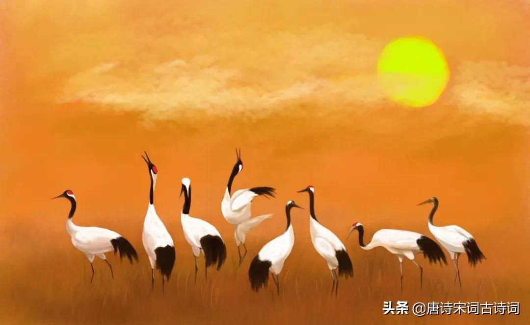 黄鹤一去不复返，白云千载空悠悠