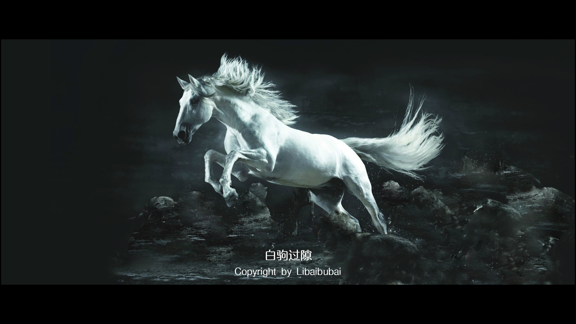 我们经常用"白驹过隙,时光荏苒"来形容时间过得很快.