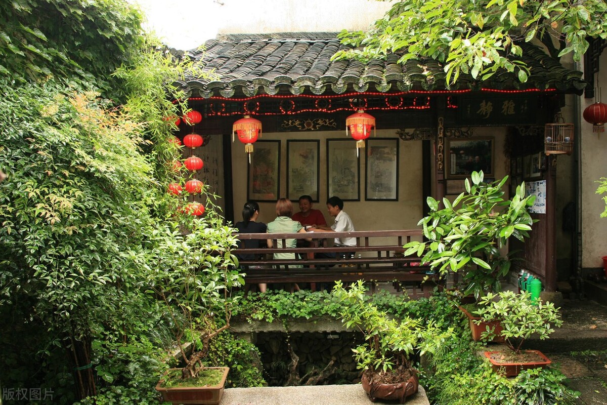 愿有一方小院子，养花喝茶过日子