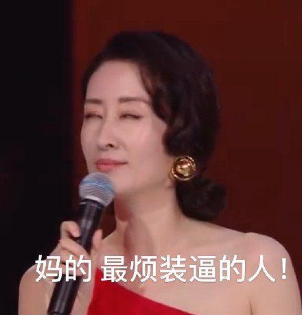 刘敏涛表情包合集｜大姐什么意思哦？