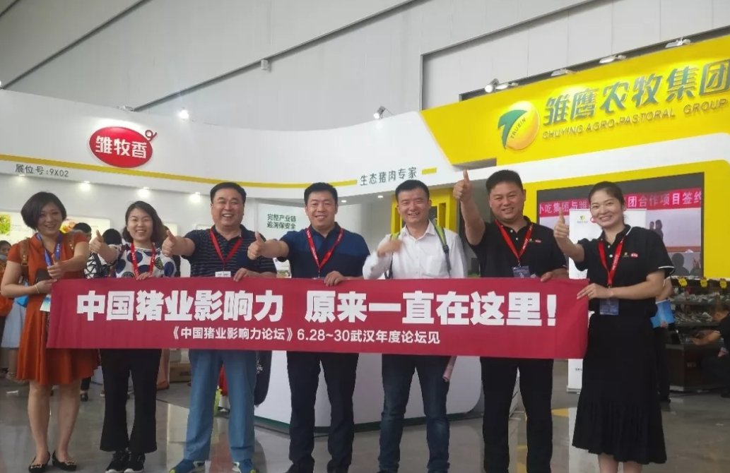 饿死200万头猪？“养猪第一股”倒了，亏损30亿靠破产公司续命