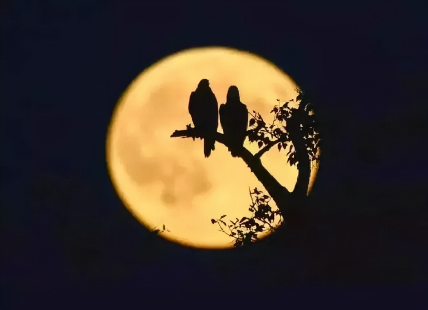 30首月亮古诗30首月亮古诗望月怀远