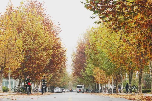 喜报！湖北这所高校引院士加盟，进步神速，有望冲击双一流大学