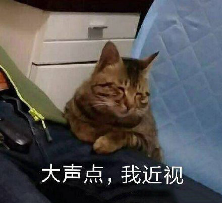 猫咪表情包合集｜大声点，我近视