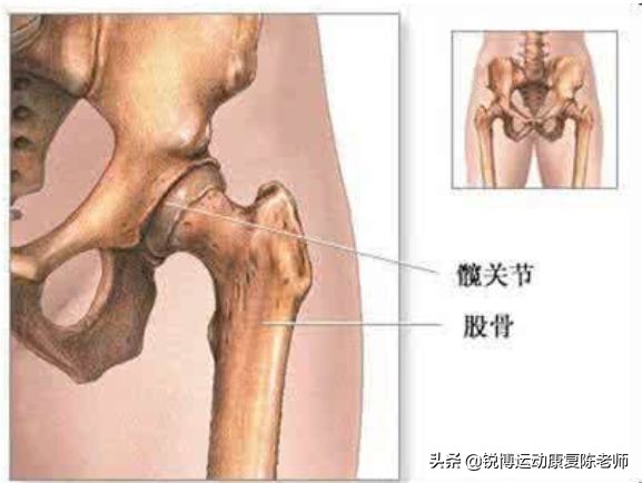 nba球员为什么练肩(肩膀为什么最容易脱臼？从凯文乐福的肩膀说起)