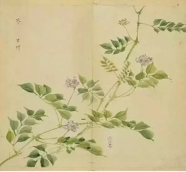 《诗经》太熟悉了吧,但《诗经》里的这些字,你认识吗?