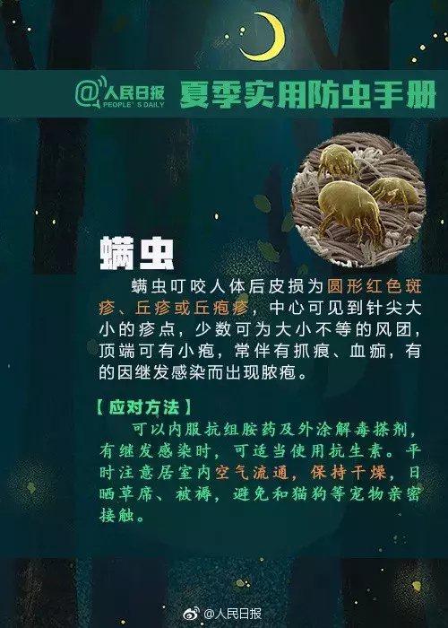 警惕！路边碰到这种小红土堆，赶紧躲远点！曾有多人因此中毒、休克！