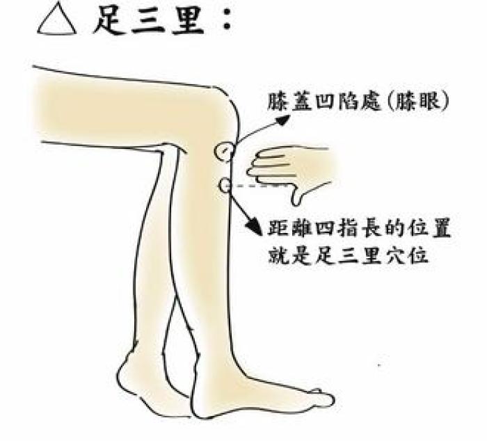 三阴交穴的4种穴位配伍套路，效果不容小觑，祛湿通络、利水消肿