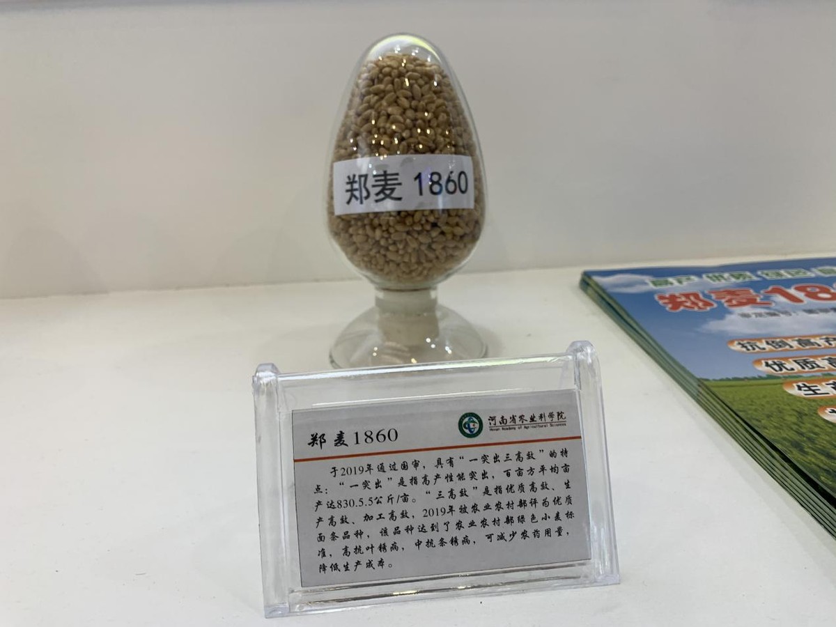 河南展团：用“芯”筑牢粮食安全“防护墙”