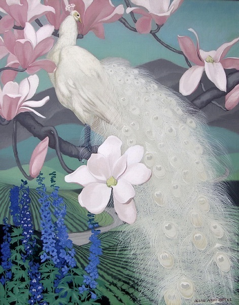 孔雀东南飞！高贵、冷艳的白孔雀