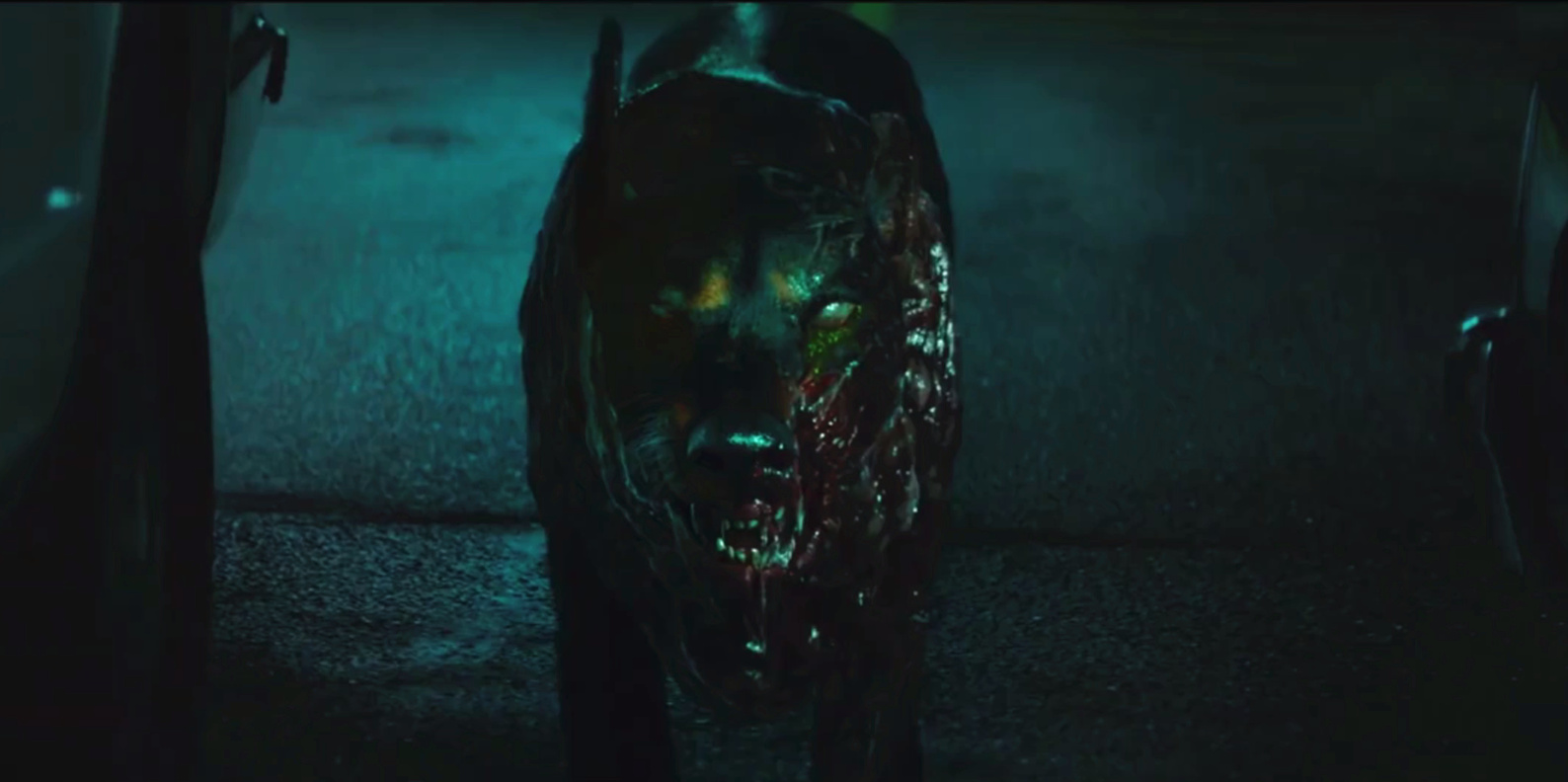 生化危机浣熊市行动2攻略(生化危机浣熊市行动的变异体)-游戏问答