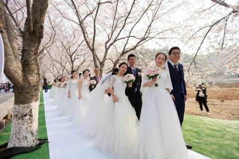 太低调！这所实力985，是我国重点建设的唯一一所综合性海洋大学