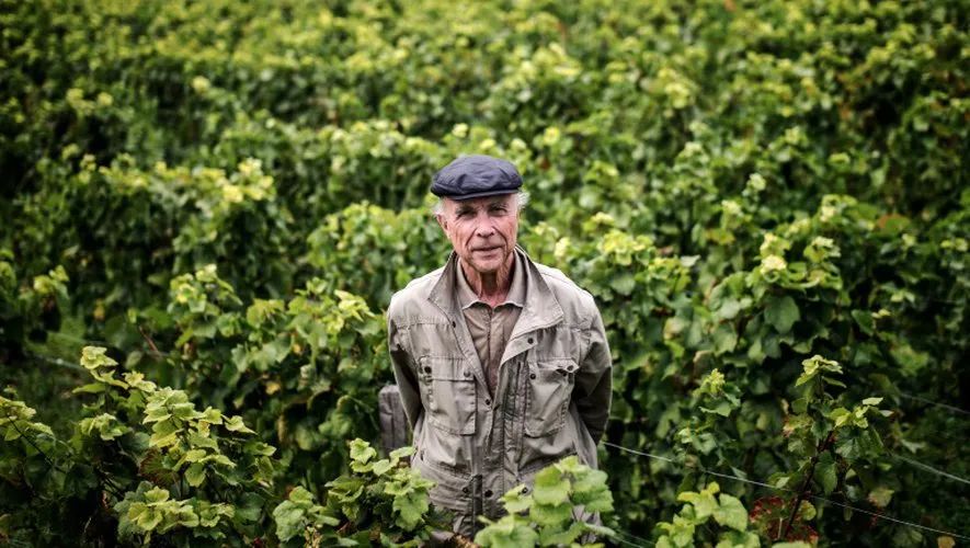 独家｜罗曼尼康帝庄主：葡萄酒变成奢侈品是很危险的事情