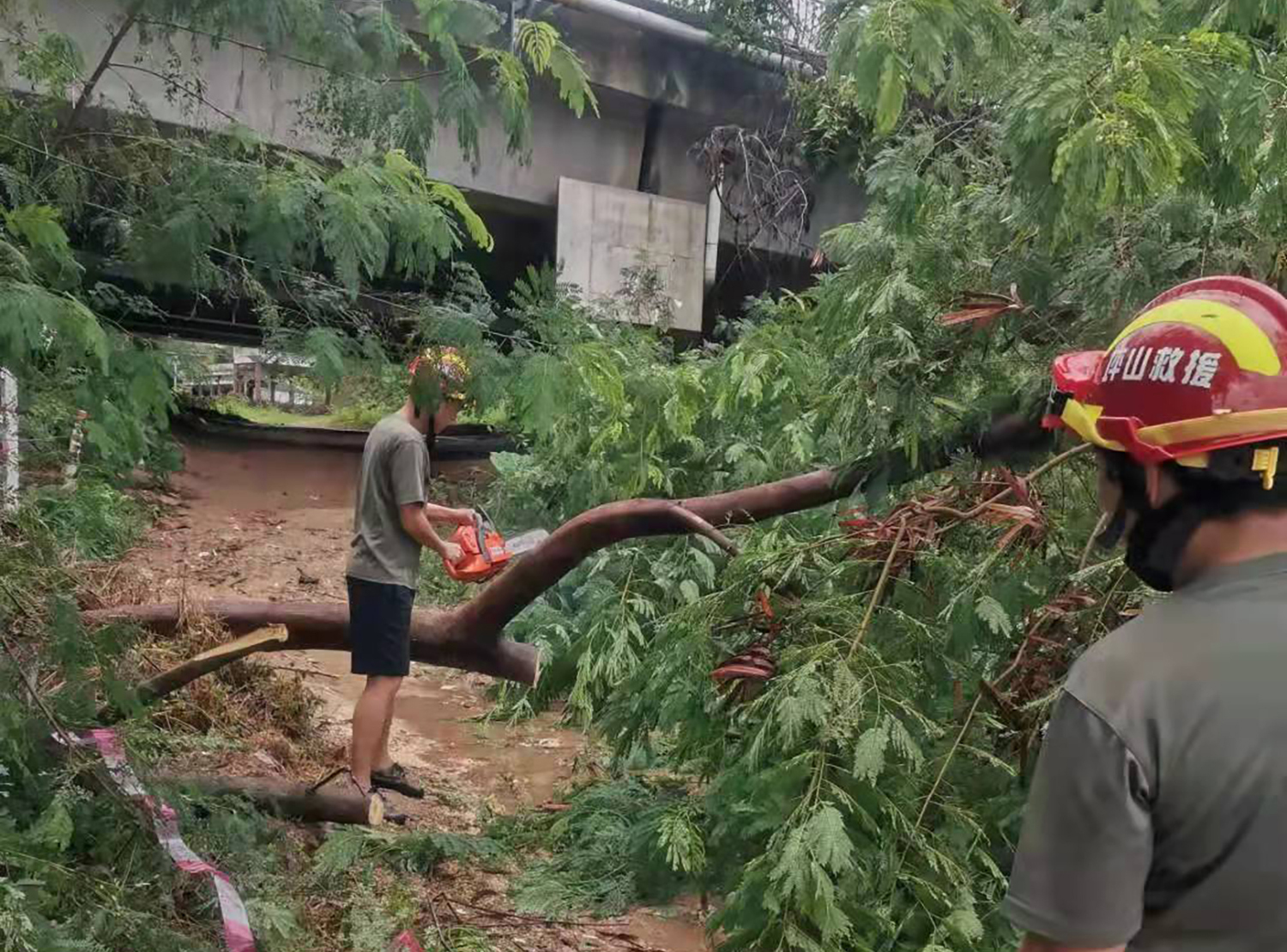 深圳市坪山区民兵应急力量积极参与防风防汛工作