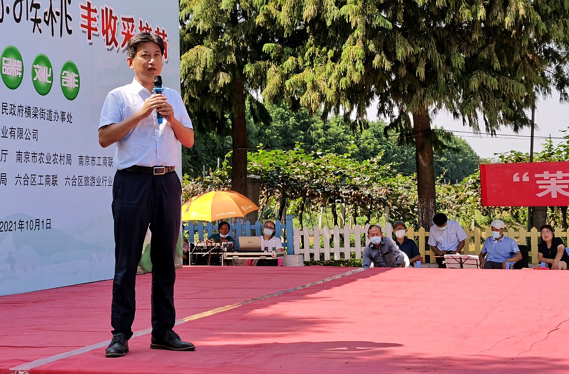 特别报道｜去六合横梁淘雨花石，别忘了去绿航采摘猕猴桃