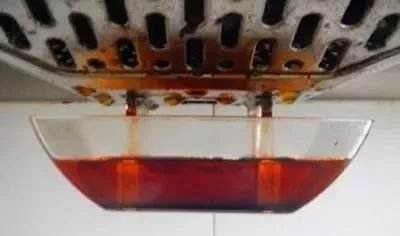 什么花肥，都比不上1滴“废油”，不伤根不伤土，养啥花都靠谱