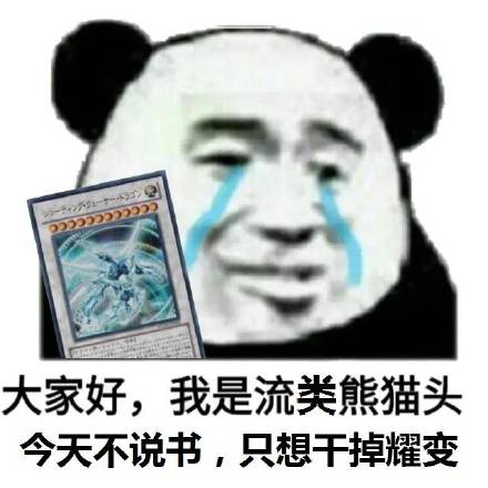大家好，我是流泪熊猫头