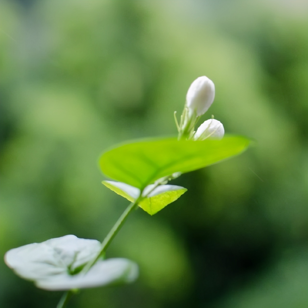 适合沉淀心灵的句子，经典通透，让人感慨良深