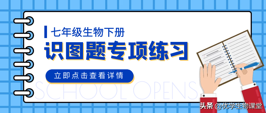 每天做两道生物识图题，掌握做题技巧，考优异成绩没问题